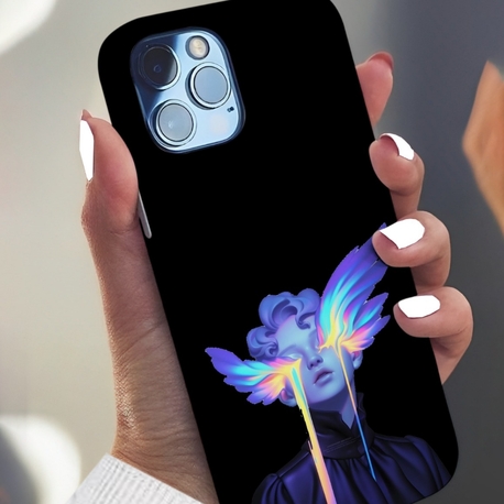 fairy case