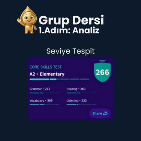 Dönüşüm Programı