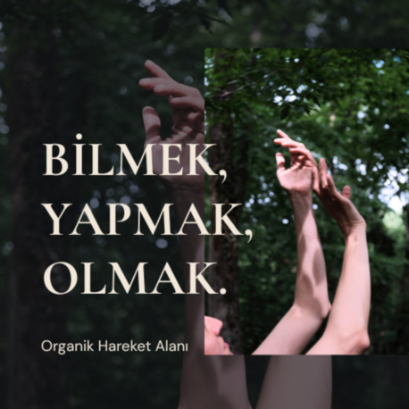 Organik Hareket Alanı | Bilmek, Yapmak, Olmak. — Somatik Hareket Pratiği