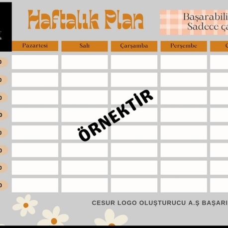 ÖĞRENCİLERE ÖZEL HAFTALIK DERS ÇALIŞMA PROGRAMI HAZIRLANIR 