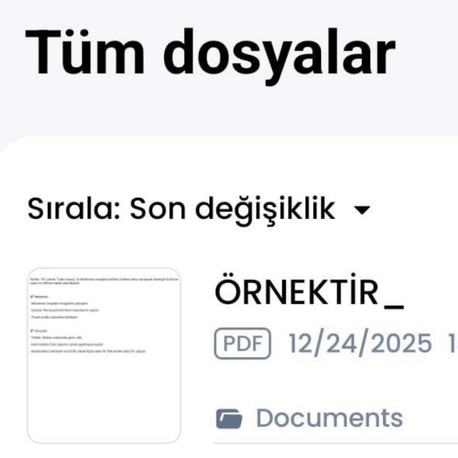 ANINDA PDF DÖNÜŞÜM HİZMETİ 