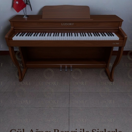 LUDORF LE-930 DİJİTAL PİYANO
