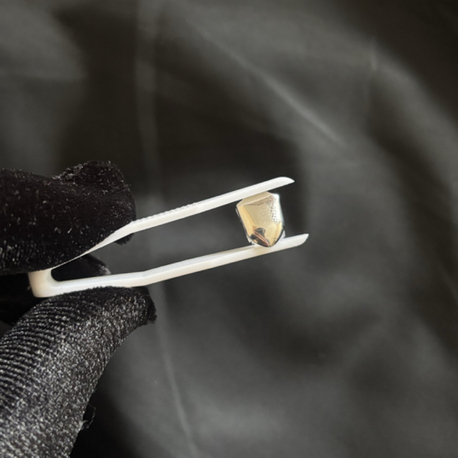 Tekli Gümüş Grillz