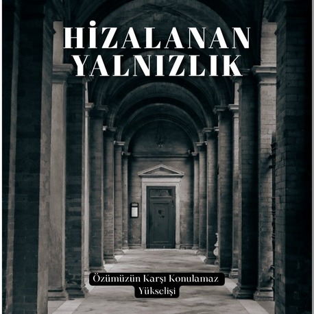HİZALANAN YALNIZLIK ( Dijital Dönüşüm Kitabı  )