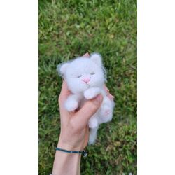 Sevimli Uyuyan Yavru Kedi Beyaz