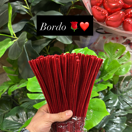 Bordo şönil