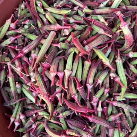kınalı bamya 1kg