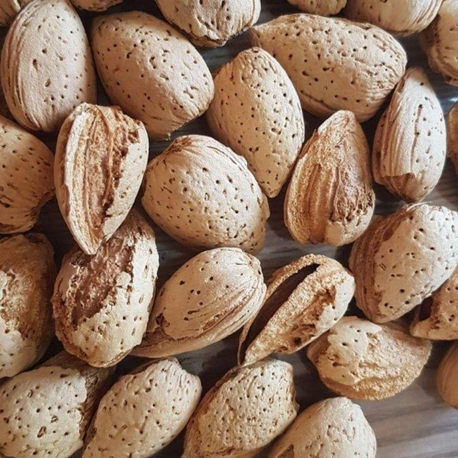 diş badem(1 kilo)