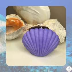 Seashell Soy Wax Candle