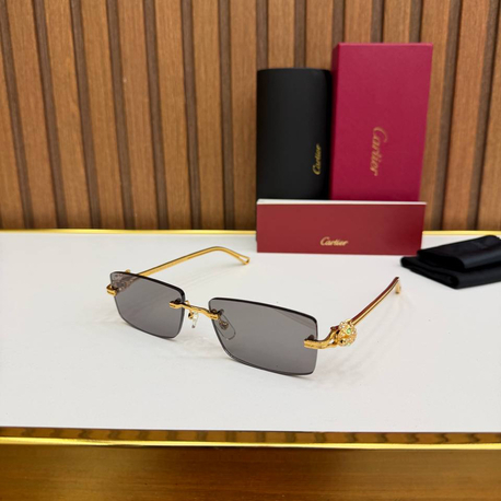 Carti Premium Sunglasses (İthal) 