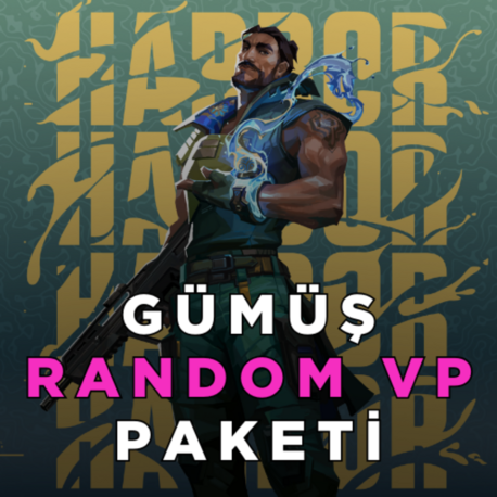 Valorant Gümüş VP Paketi