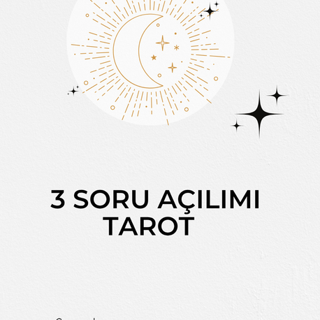 3 soru