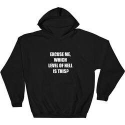 Which hell? - Hoodie