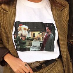 Friends - T-shirt 