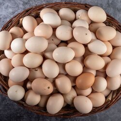 ÇÖKELİKÇİ KÖY YUMURTASI 