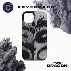 TWO DRAGON CASE