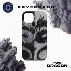 THE DRAGON CASE