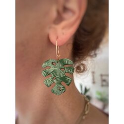 Monstera