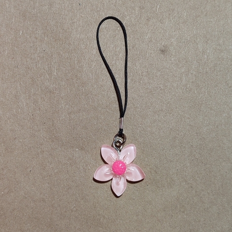 sakura charm