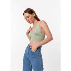 crop model