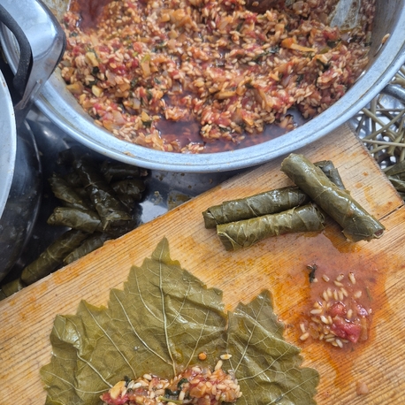 YAPRAK SARMASI