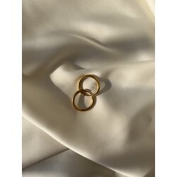 Minik Gold Çelik Halka Küpe (25 Kr boyutundadır)