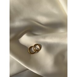 Minik Gold Çelik Halka Küpe (10 Kr boyutundadır)