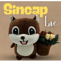 KAHVE SİNCAP PELUŞ LUE OYUNCAK 25CM 