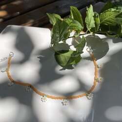 Daisy II