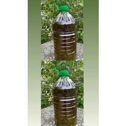 10 litre zeytinyağı 