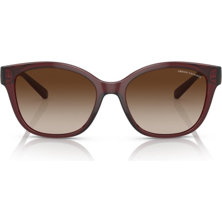 ARMANI EXCHANGE 4127S 824113 Kadın Güneş Gözlüğü