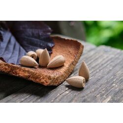 Üstün Kaliteli Doğal El Yapımı Geri Akış Tütsü –| Meditasyon, Yoga, Stres Azaltma