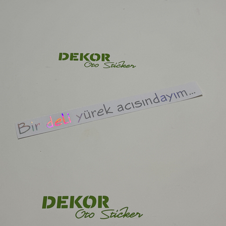 Bir deli yürek acısındayım… (3x32cm)