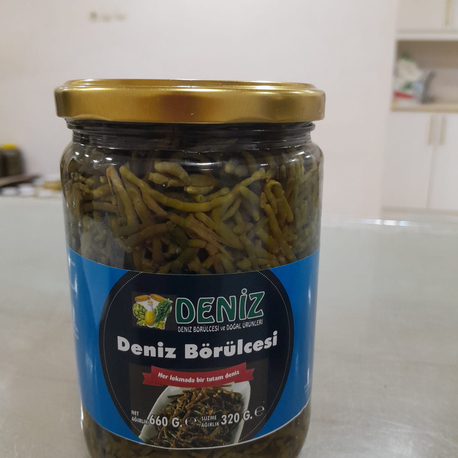 Deniz Börülcesi (660cc)