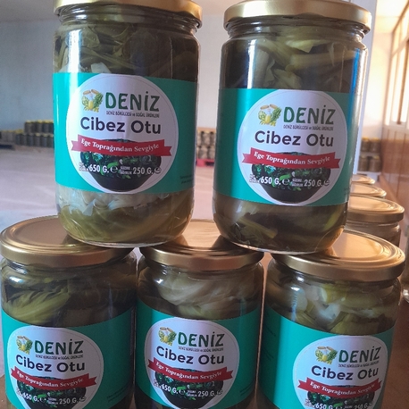 cibez otu 