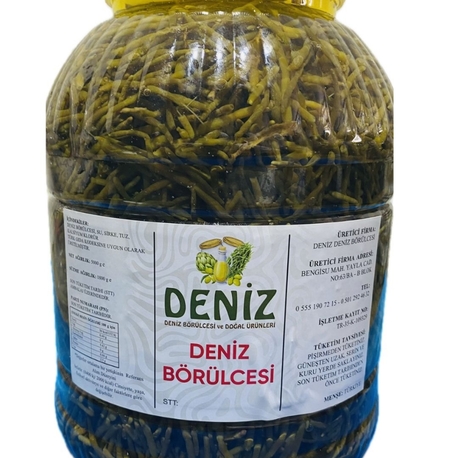 Deniz börülcesi 