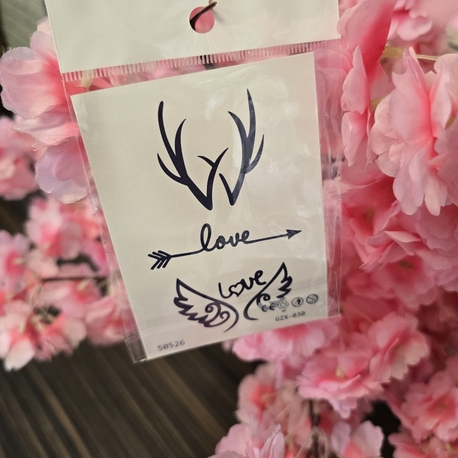 sonradan kararan Kanat ve Love yazı geçici dövme