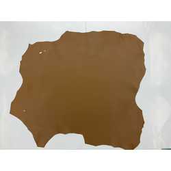 Camel Brown 