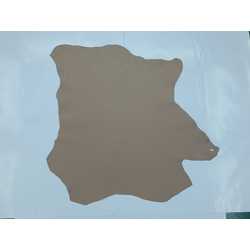 Plaza Taupe