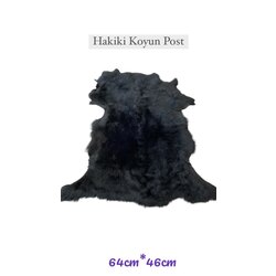 Hakiki Koyun Postu 