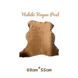 Hakiki Post