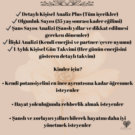 Tam Kapsamlı Analiz – Hayatın Master Planı (12+ Analiz İçerir)