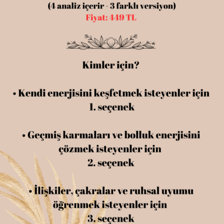 Temel Kişisel Analiz – Ruhunun Kullanım Kılavuzu (3 Seçenekli)