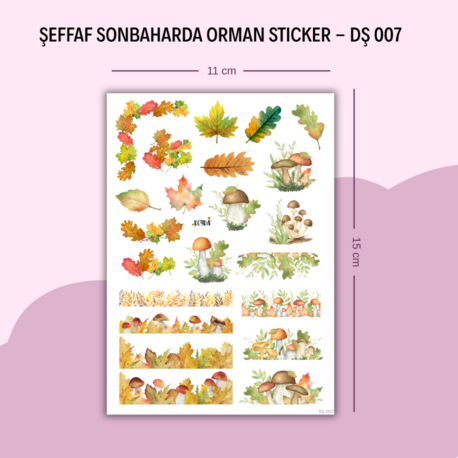 DŞ-007 Sonbahar Sticker