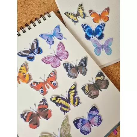 Büyük Boy Kelebek Sticker Kağıdı