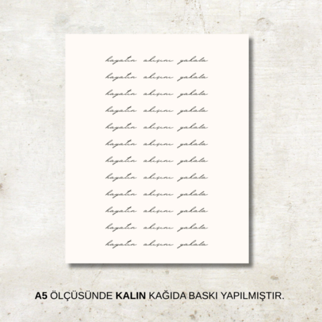 Hayatın Akışını Yakala | Poster