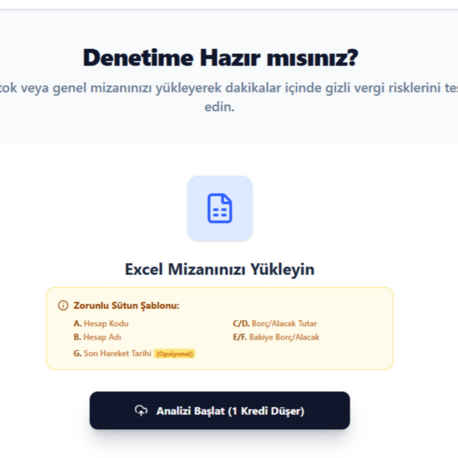 Mizan Denetim Raporu