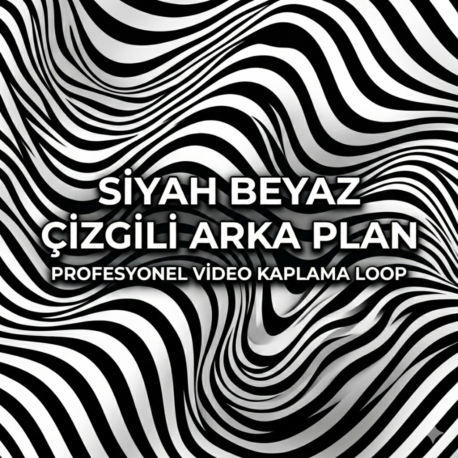 Premium Siyah Beyaz Çizgili Arka Plan Overlay Paketi | Minimalist 4K Loop