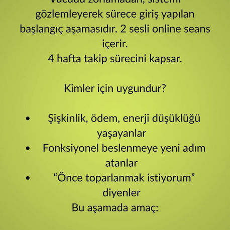 1 AYLIK FONKSİYONEL BAŞLANGIÇ PROGRAMI 