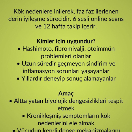 3 AYLIK FONKSİYONEL DÖNÜŞÜM PROGRAMI 